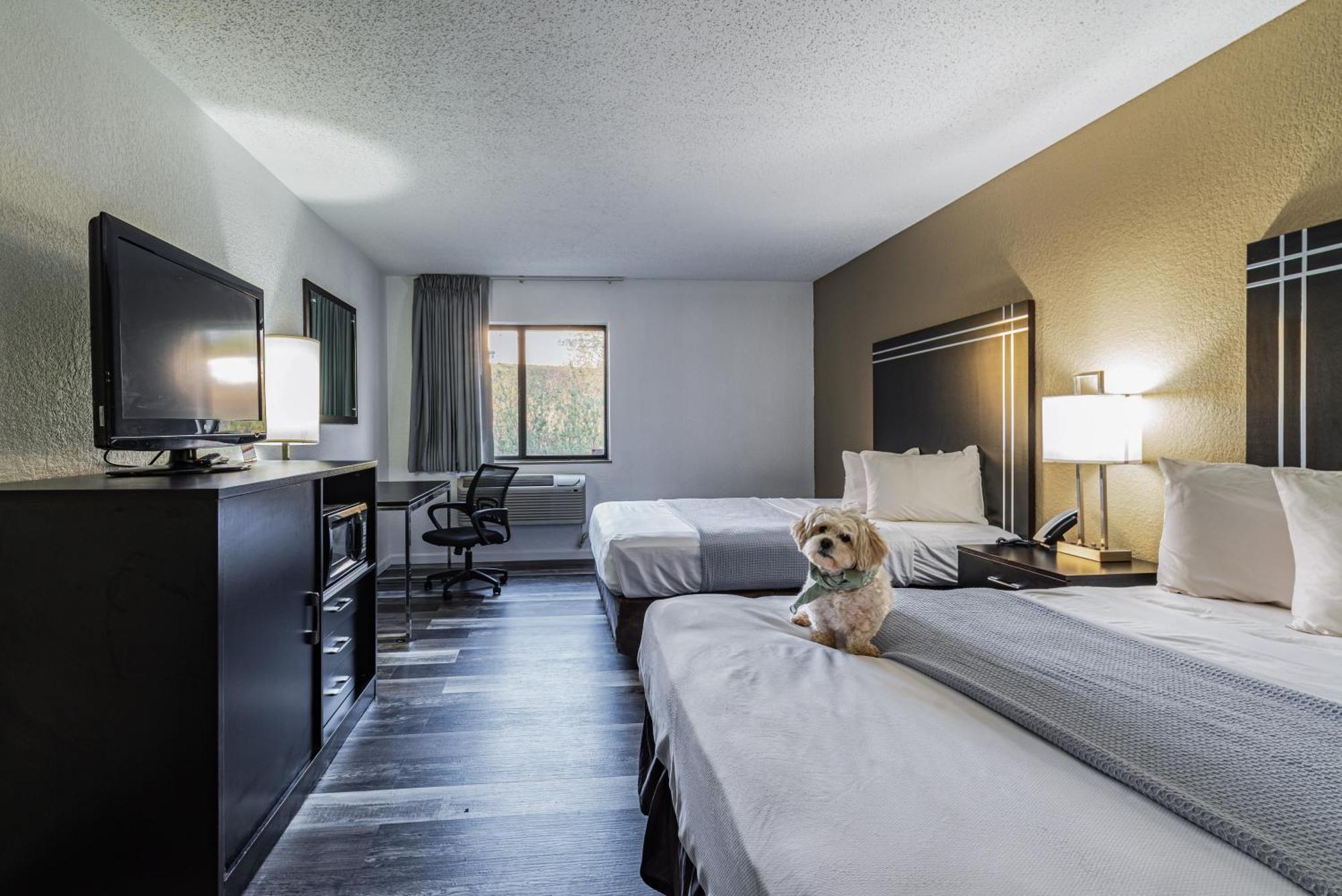 Econo Lodge Cleveland Southeast - Kent Streetsboro Ngoại thất bức ảnh