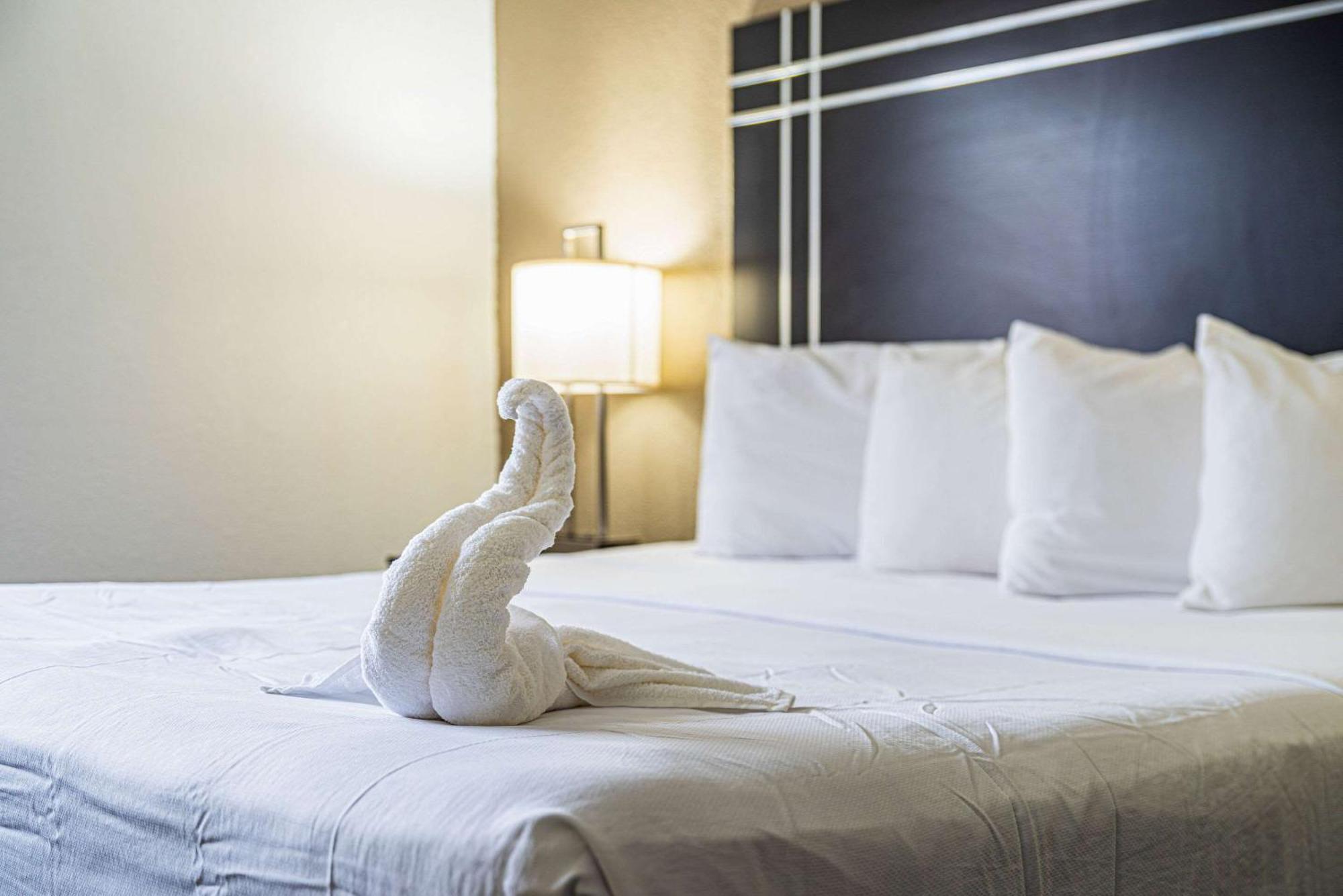 Econo Lodge Cleveland Southeast - Kent Streetsboro Ngoại thất bức ảnh